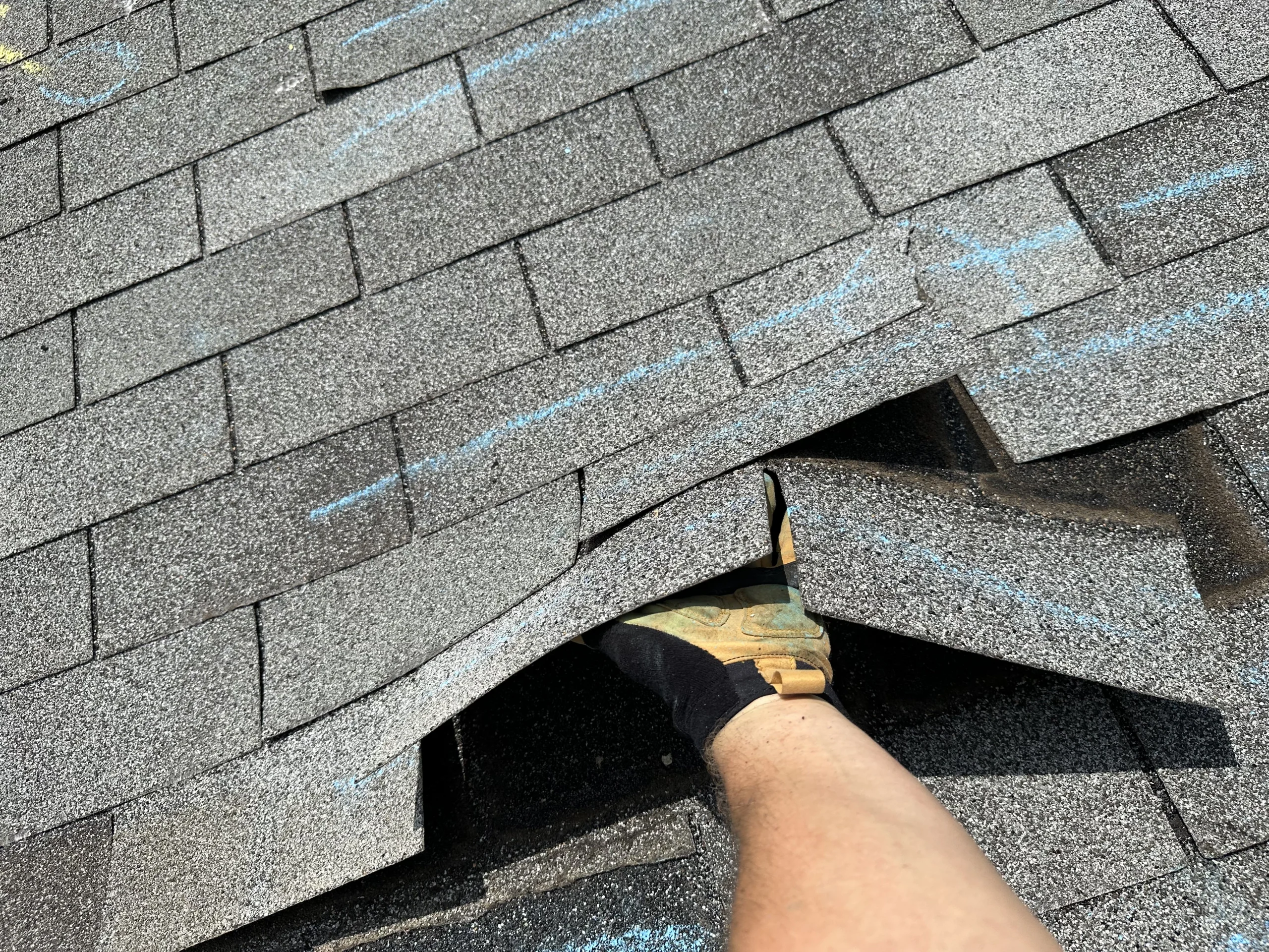 Roof inspection by Wolf Builders